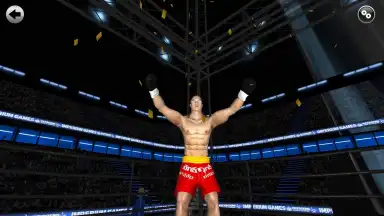 Captura de tela de Kickboxing - Road To Champion Pro 2