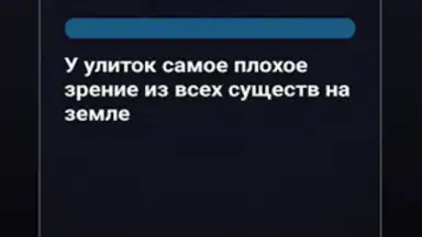 Captura de tela de Правда или Ложь 5