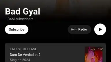 Captura de tela de YouTube Music 1