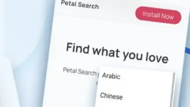 Captura de tela de HUAWEI Petal Search 1