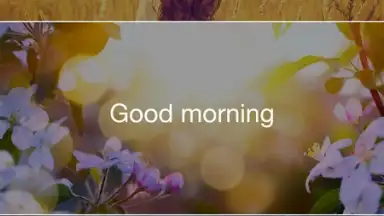 Captura de tela de Insight Timer 9