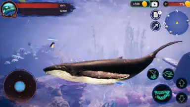 Captura de tela de The Humpback Whales 7
