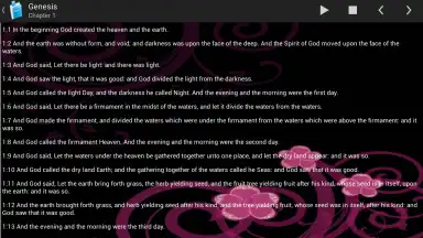 Captura de tela de Holy Bible King James Version 9