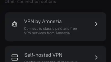Captura de tela de Amnezia VPN 10