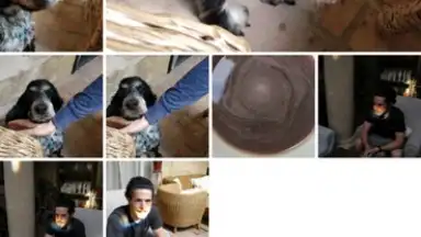 Captura de tela de Google Photos 5