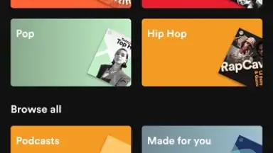 Captura de tela de Spotify 21