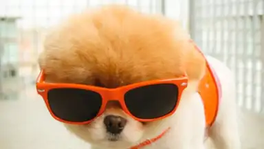 Captura de tela de Boo Weather 3