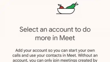 Captura de tela de Google Meet 1