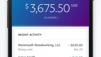 Captura de tela de PayPal Business 1