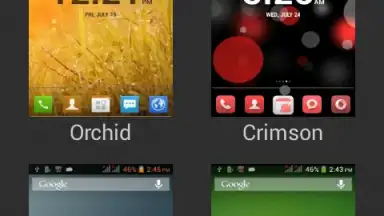 Captura de tela de XThemes 1