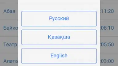 Captura de tela de Метрополитен города Алматы 8