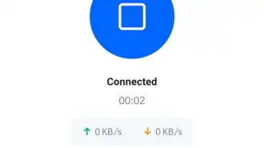 Captura de tela de DeerShield - Free VPN 10
