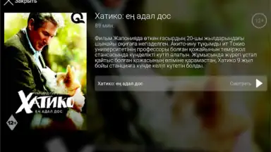 Captura de tela de Galam TV 2