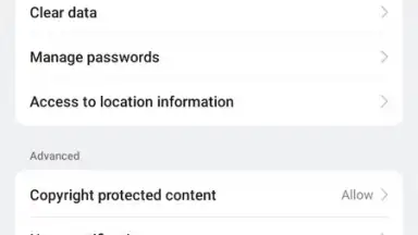 Captura de tela de Internet Browser 9