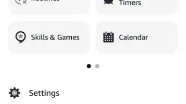 Captura de tela de Amazon Alexa 8