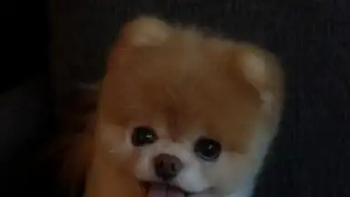 Captura de tela de Boo Weather 2