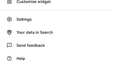 Captura de tela de Google App 4