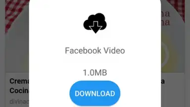 Captura de tela de Daily Video Downloader 4