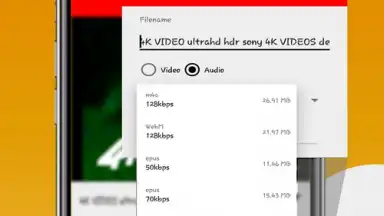 Captura de tela de Fast Youtube Downloader 7