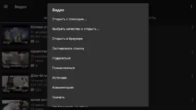 Captura de tela de Video App for VK 9