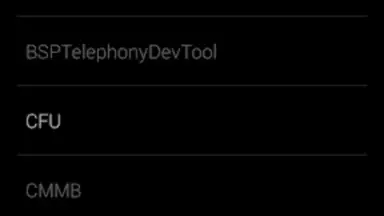 Captura de tela de Engineering Mode App 2