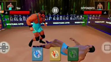 Captura de tela de Tag Team Wrestling Games: Mega Cage Ring Fighting 5