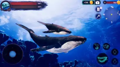 Captura de tela de The Humpback Whales 3