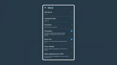 Captura de tela de hidemy.name VPN 1