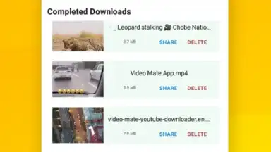 Captura de tela de Vidora YouTube Downloader | free & fast 12