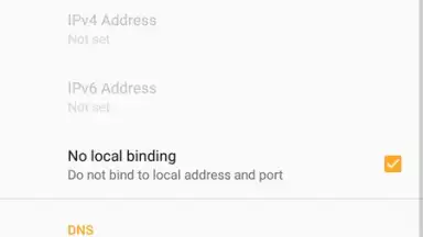 Captura de tela de OpenVPN 17