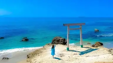 Captura de tela de Lemon8 3