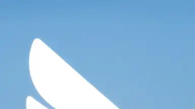 Captura de tela de DingTalk 1