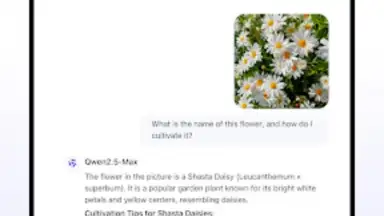 Captura de tela de Qwen Chat 3