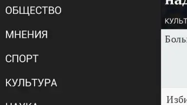 Captura de tela de Газета.Ru 3