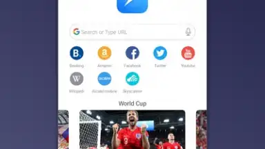 Captura de tela de Mini Private Browser: Fast Search, Download, No Ad 4