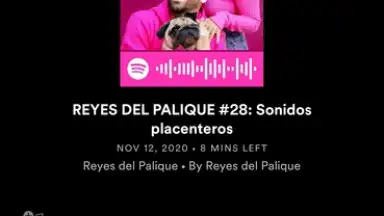 Captura de tela de Spotify 18