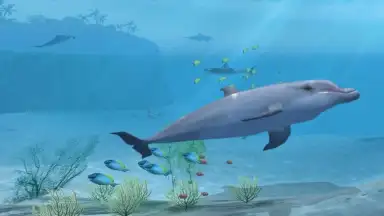 Captura de tela de Sharks VR 1