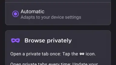 Captura de tela de Iceraven Browser 4