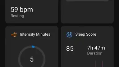 Captura de tela de Garmin Connect 3