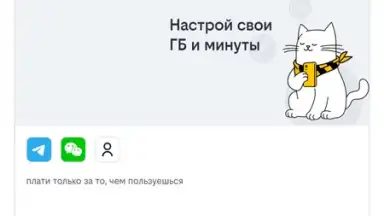 Captura de tela de билайн 3