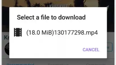 Captura de tela de VIP Video downloader 4
