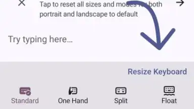 Captura de tela de FUTO Keyboard 7