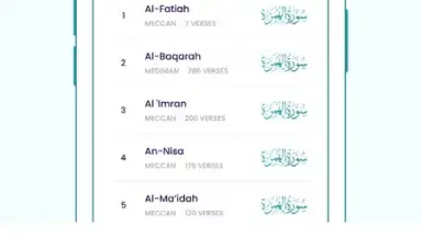 Captura de tela de The Holy Quran - English 4