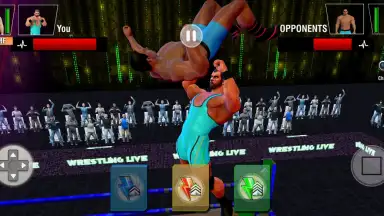 Captura de tela de Tag Team Wrestling Games: Mega Cage Ring Fighting 4