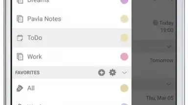 Captura de tela de Tasks & Notes 12