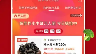 Captura de tela de пиндуодуо 11