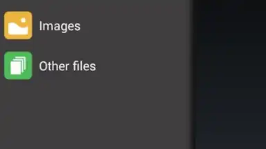 Captura de tela de GetThemAll Any File Downloader 1