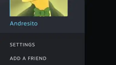 Captura de tela de Steam Chat 6
