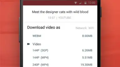 Captura de tela de InsTube YouTube Downloader 4