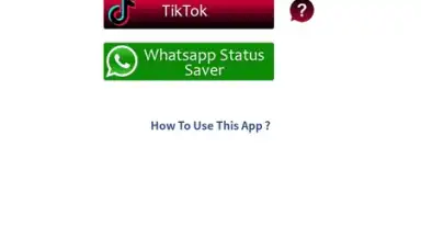 Captura de tela de VidGet - YouTube, Insta and TikTok downloader 1